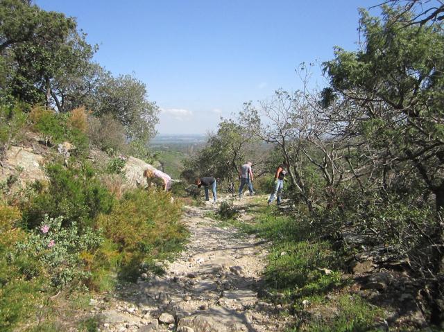 N2 la pave